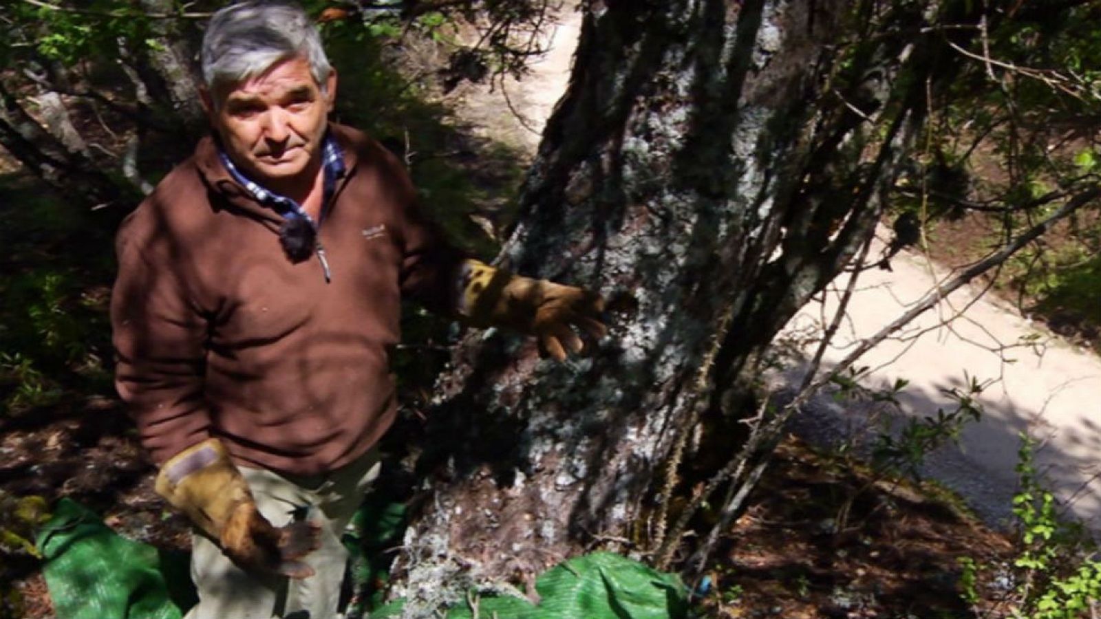 El trabajo de pelusero