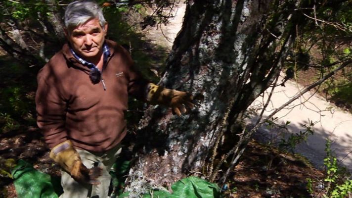 Aquí la Tierra - El trabajo de pelusero