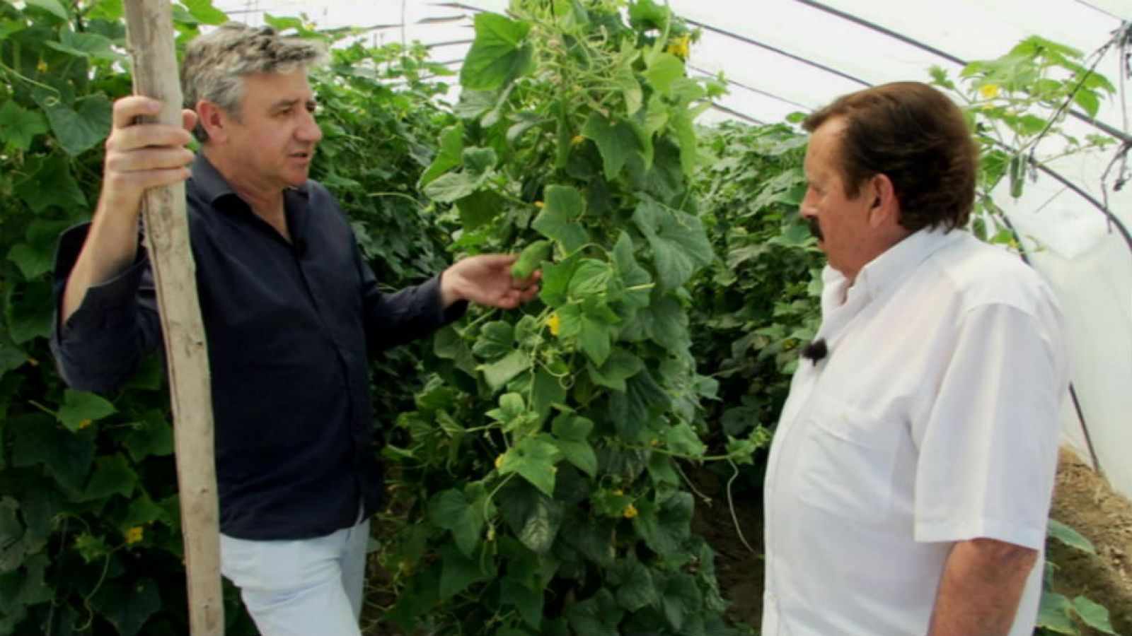 ¡No me importa un pepino!