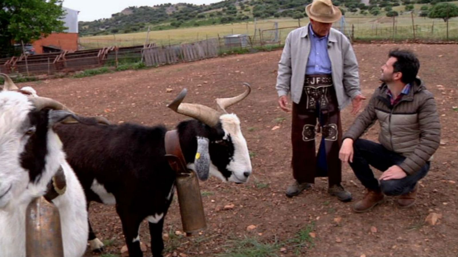Julián, el pastor domador