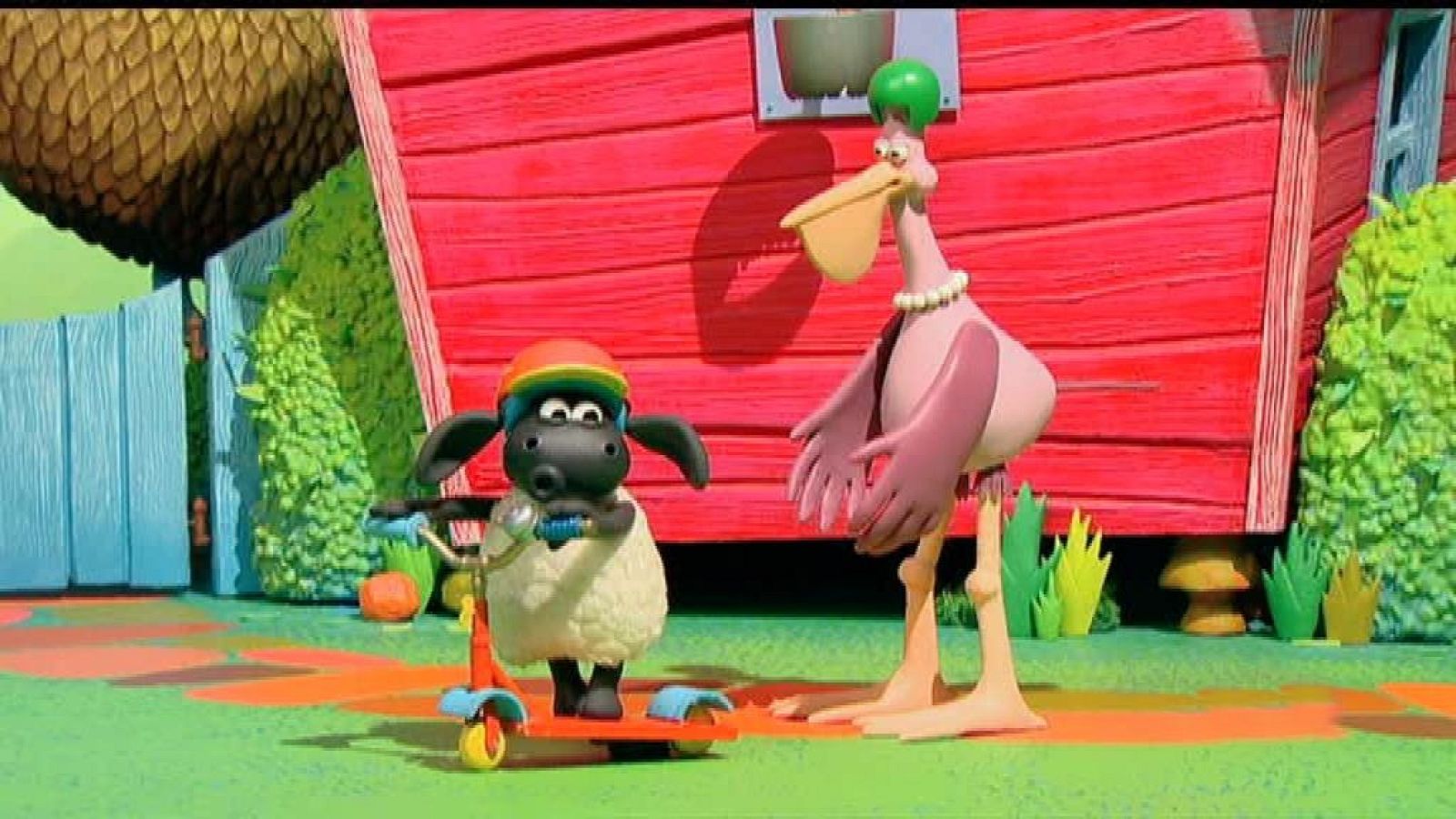 Timmy sobre ruedas - La hora de Timmy | Ver