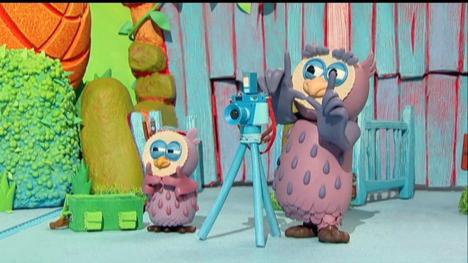 Timmy y la foto de clase - La hora de Timmy | Ver