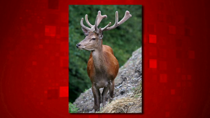 Saber y ganar - Saber y ganar - 03/07/18