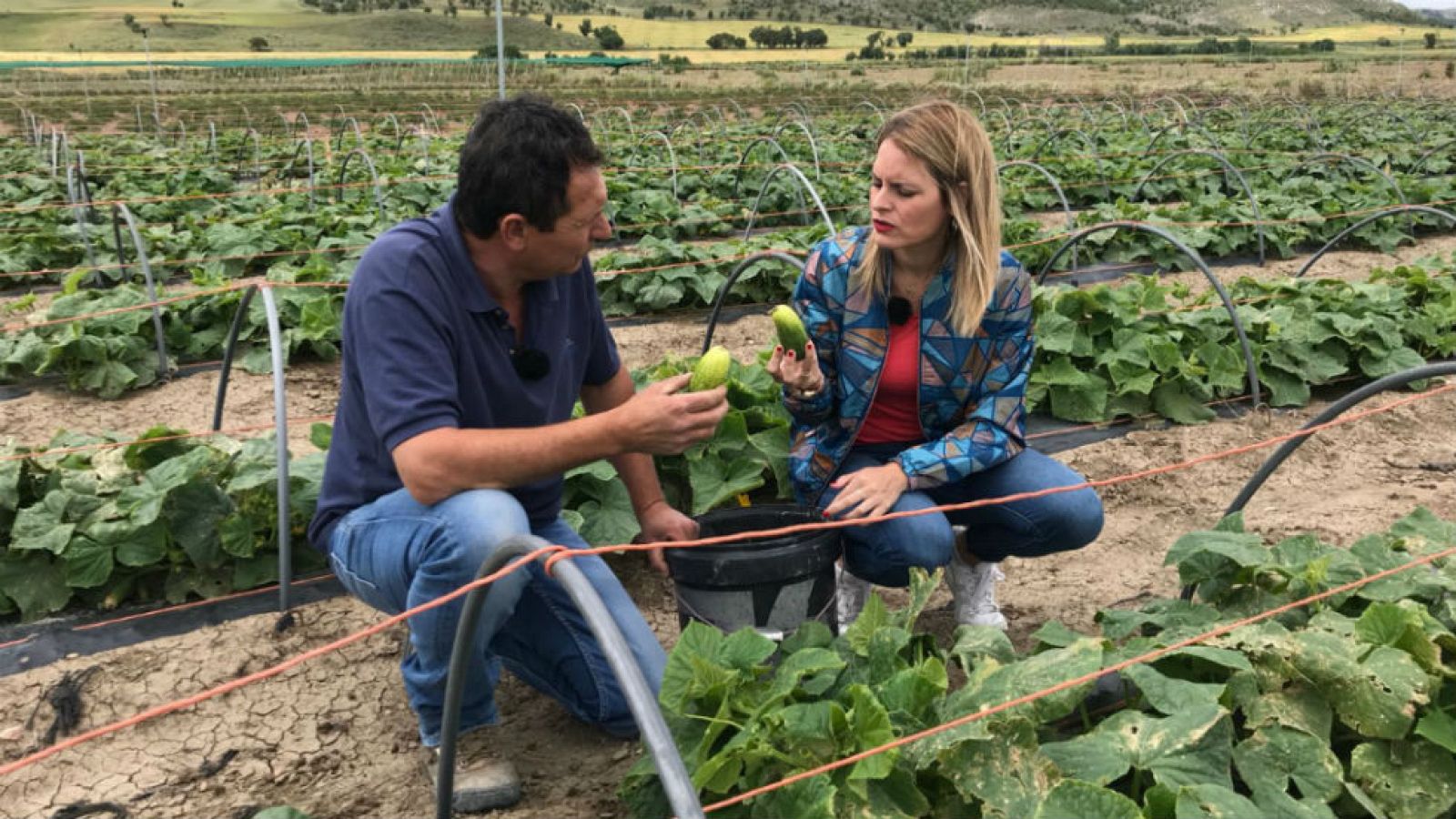 ¡El huerto aguanoso!