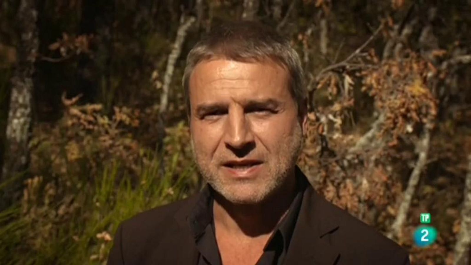 Cartas en el tiempo - Firmas de autor - Carta de Vicente Aleixandre a José Luis Cano, Miraflores, 12 de septiembre de 1940