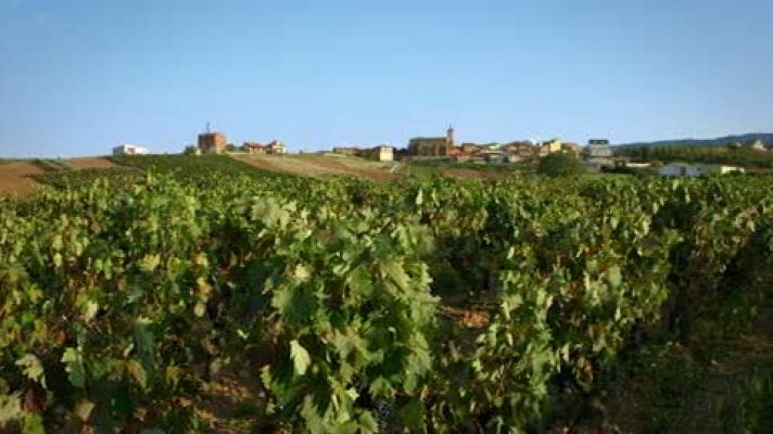 El paisano - Los mejores momentos de "El paisano" en el pueblo riojano de Sotés