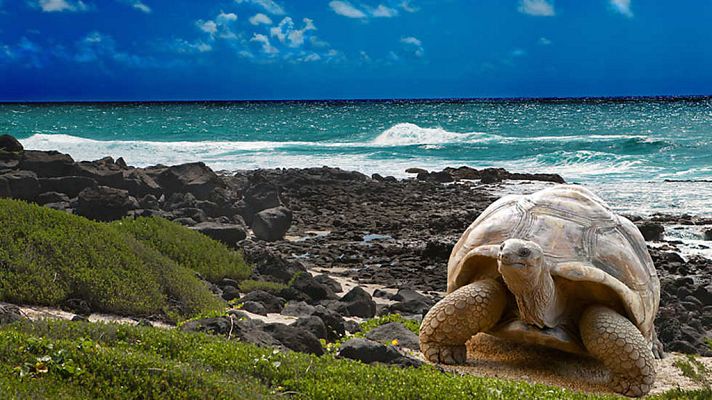 Grandes documentales - La magia del Gran Azul. Los 7 continentes: América del Sur