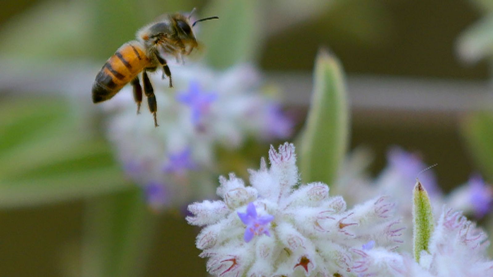 El Tiempo en la Comunidad de Madrid - 06/07/18