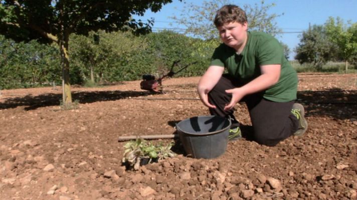 Aquí la Tierra - Miquel, un pequeño payés en la huerta