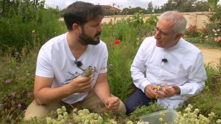 Aquí la Tierra - Unas tapas manchegas con toque floral