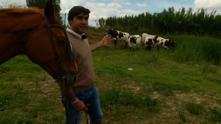 Aquí la Tierra - Los bueyes berrendos de Madrid