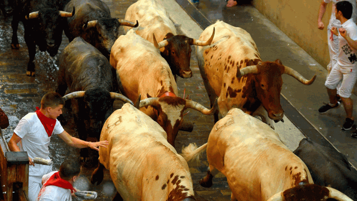 San Fermín - Segundo encierro bastante limpio pese a la lluvia