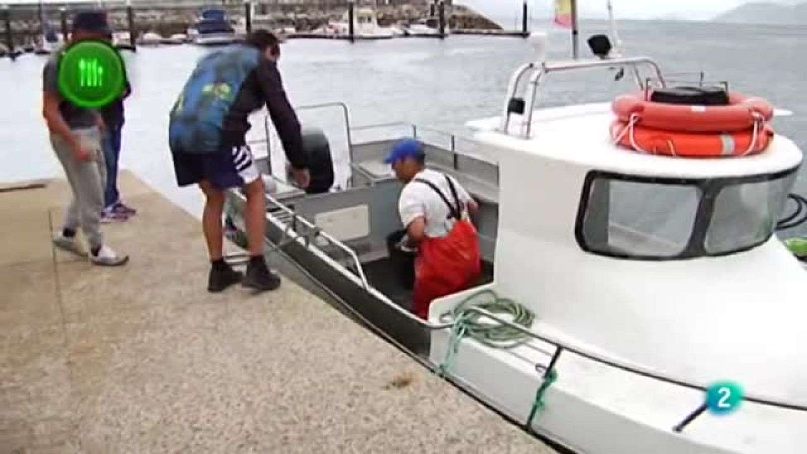 Con Mucho Gusto Pulpo