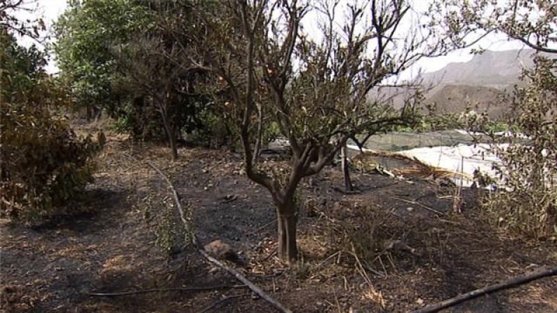 Telecanarias - 10/07/2018