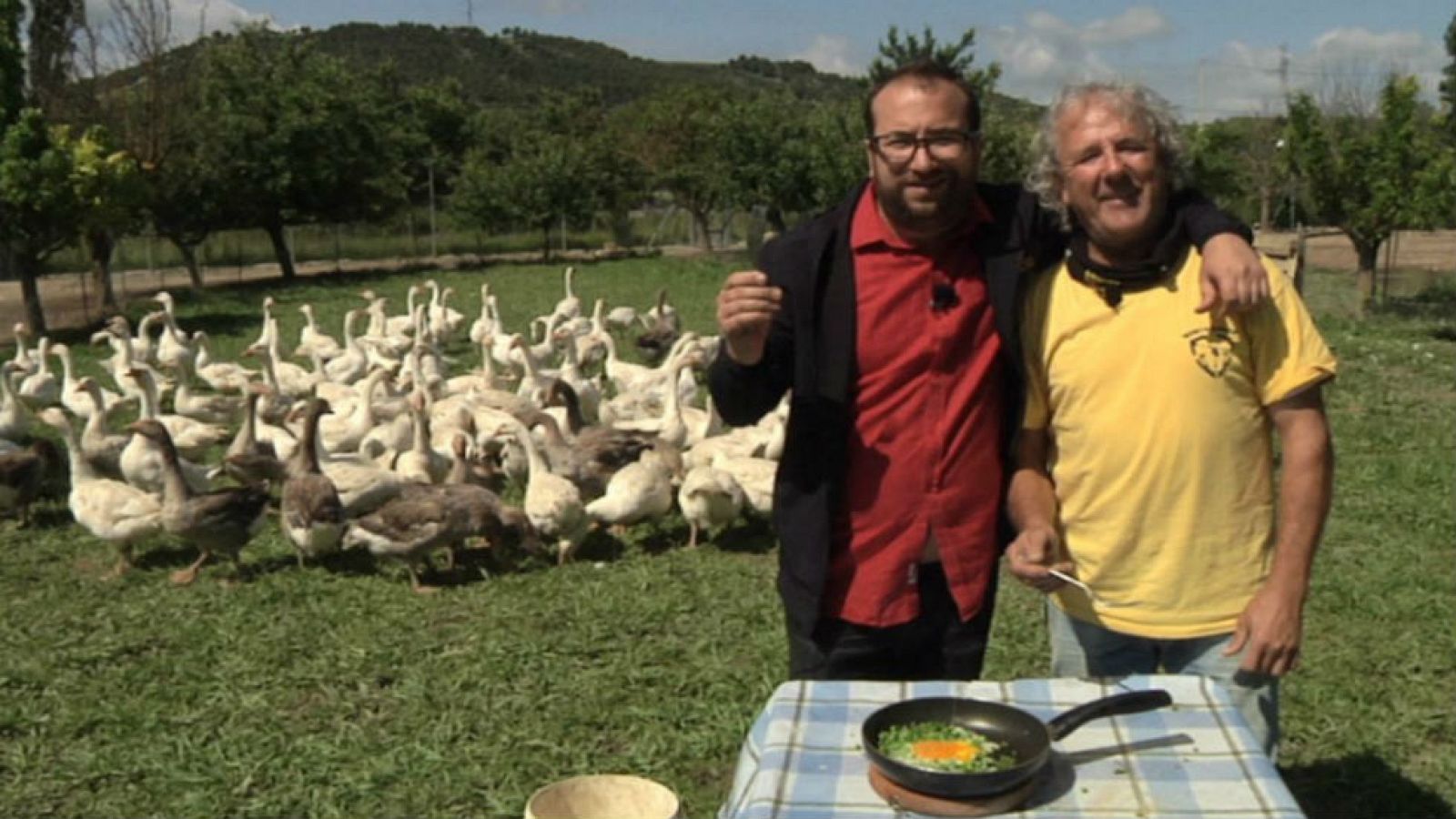 Guisantes, joyitas de Palencia