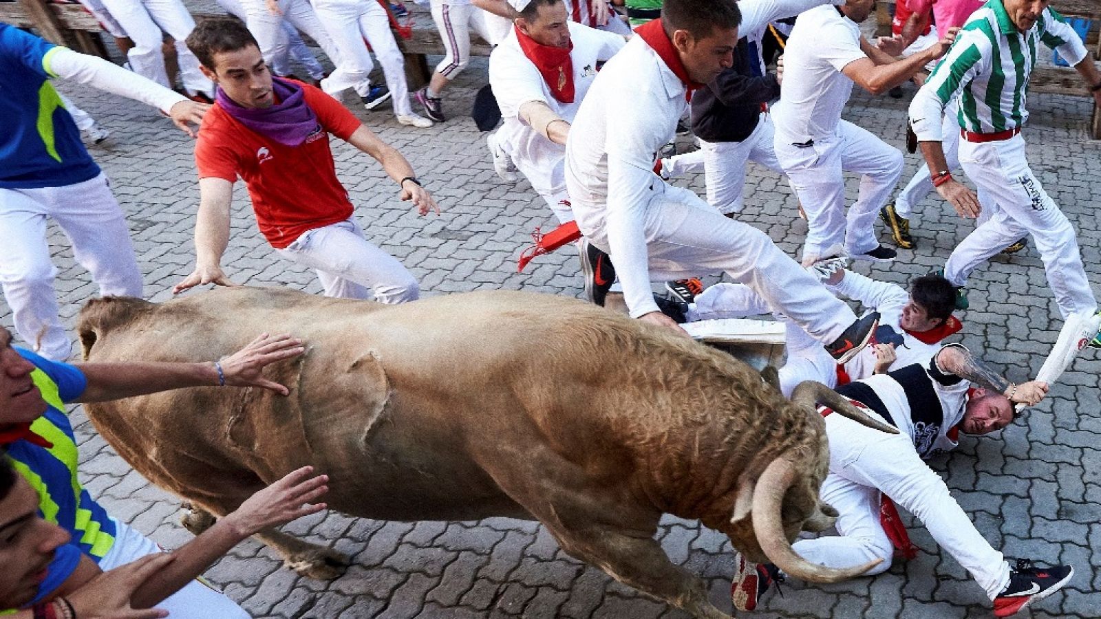 Vive San Fermín - Quinto encierro - ver ahora