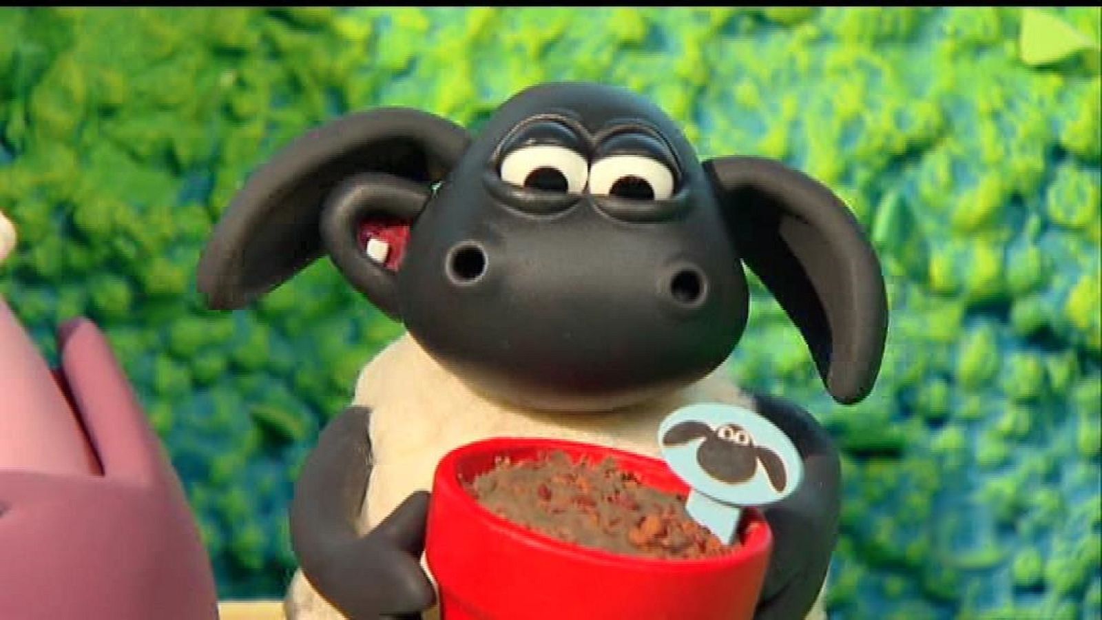 La sorpresa primaveral de Timmy - La hora de Timmy | Ver