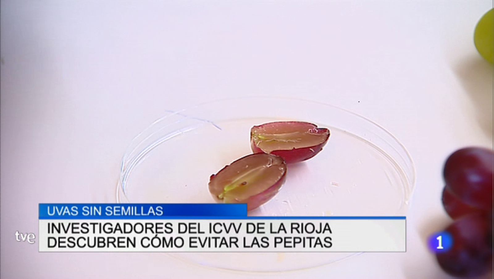 Telerioja en 2' - 11/07/18