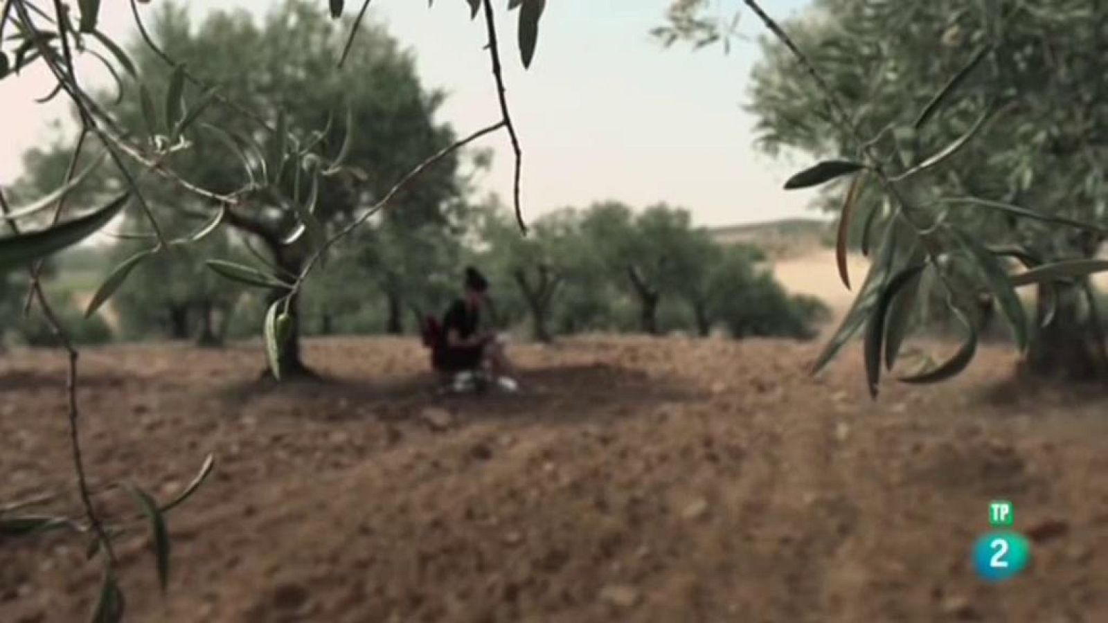 Cartas en el tiempo - Voces del exilio - Carta de Manuela Sanz a su marido Manuel López