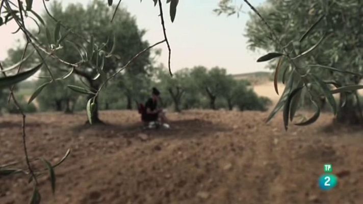 Cartas en el tiempo - Voces del exilio - Carta de Manuela Sanz a su marido Manuel