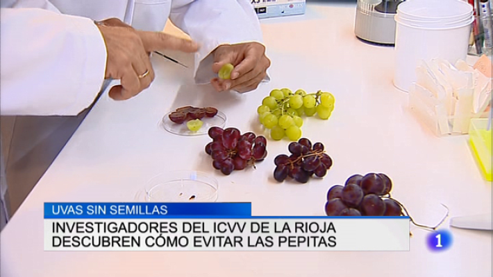 Informativo Telerioja - Informativo Telerioja 2 - 11/07/18