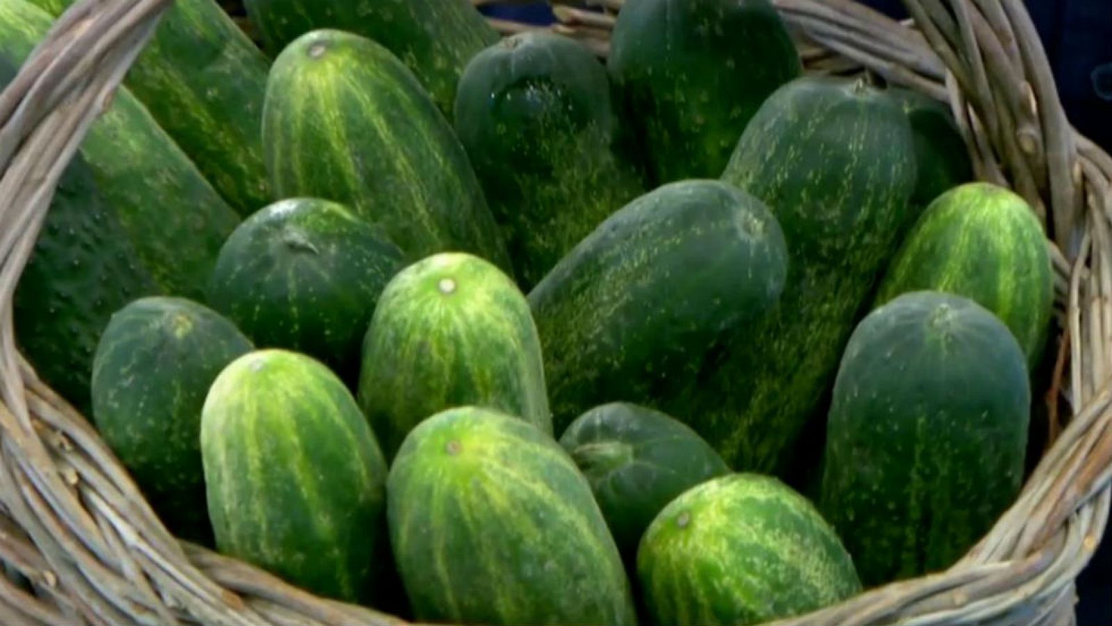 La ensalada de terraza: pepino