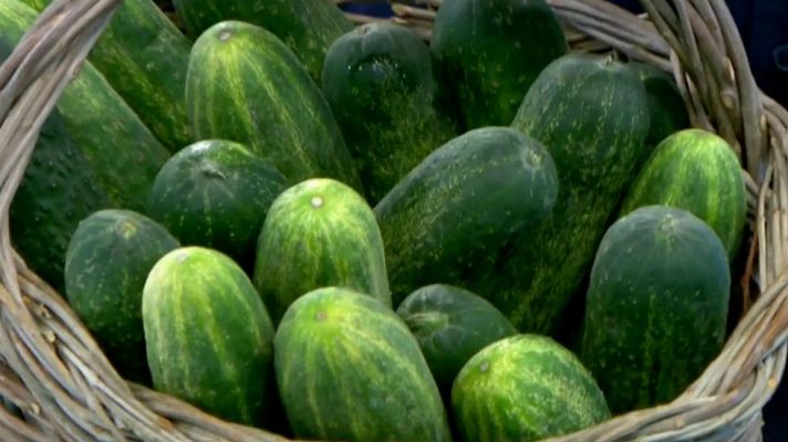 Aquí la Tierra - La ensalada de terraza: pepino
