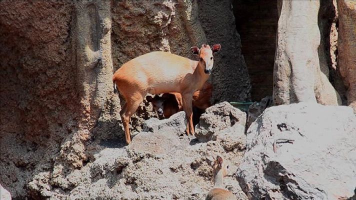 L'informatiu - Comunitat Valenciana - La Comunidad Valenciana en 2' - 12/07/18