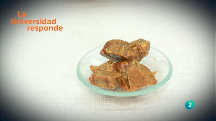 La aventura del Saber - ¿Qué son los propóleos?