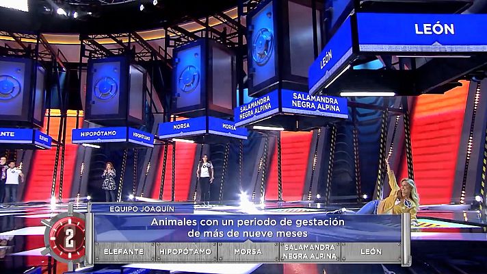 Crush - Crush - Una de las concursantes sufre una caída aparatosa aunque elegante