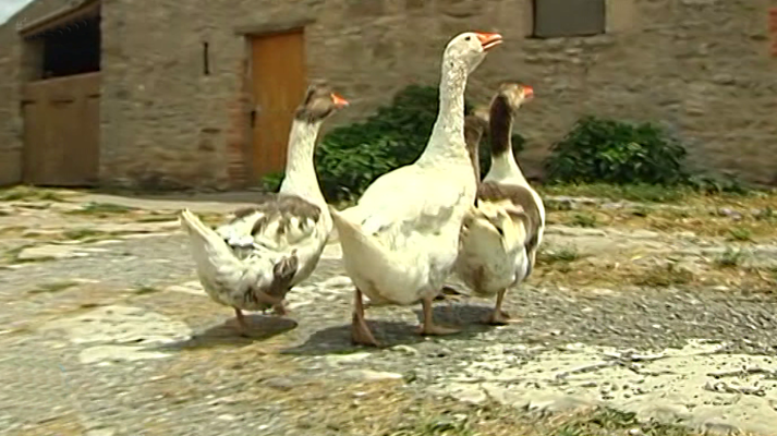 España Directo - España Directo - 12/07/18