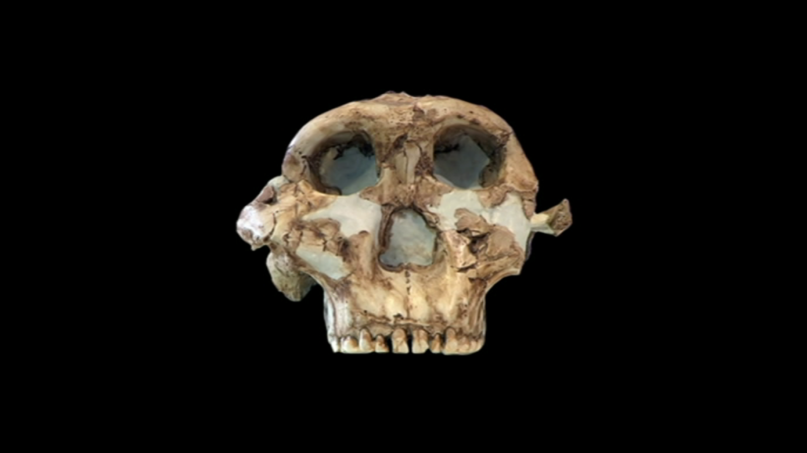 Arqueomanía - Dossier 1 - ver ahora