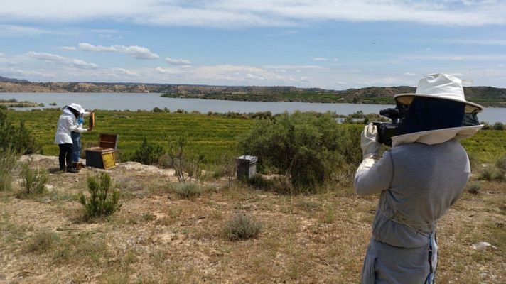 Aquí la Tierra - Aquí la Tierra - 13/07/18