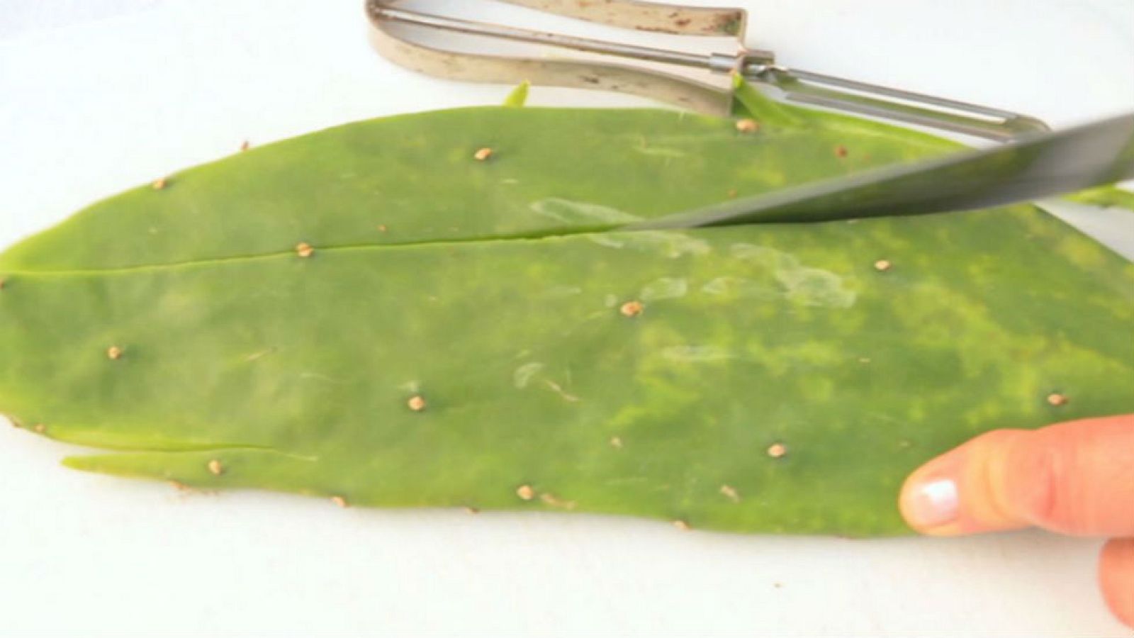 ¿Recetas con cactus?