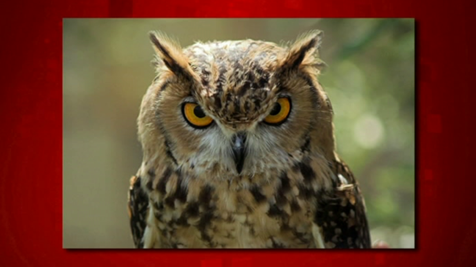 Saber y ganar. Edición de fin de semana - 14/07/18 - ver ahora