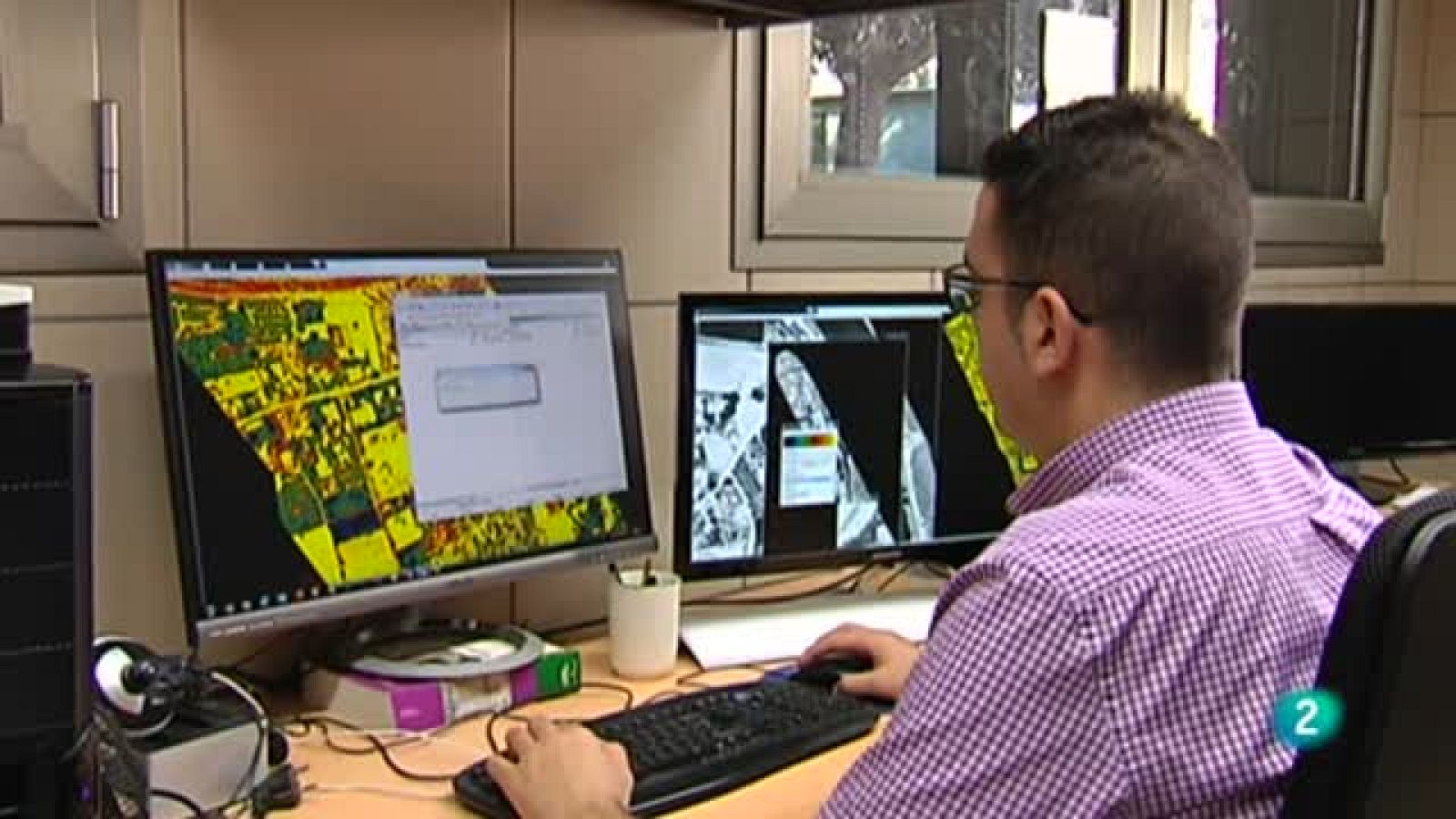 Laboratorio de ideas, CSIC XYLELLA