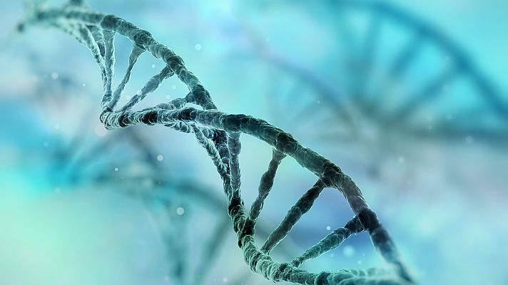 Otros documentales - Factomanía. Episodio 10