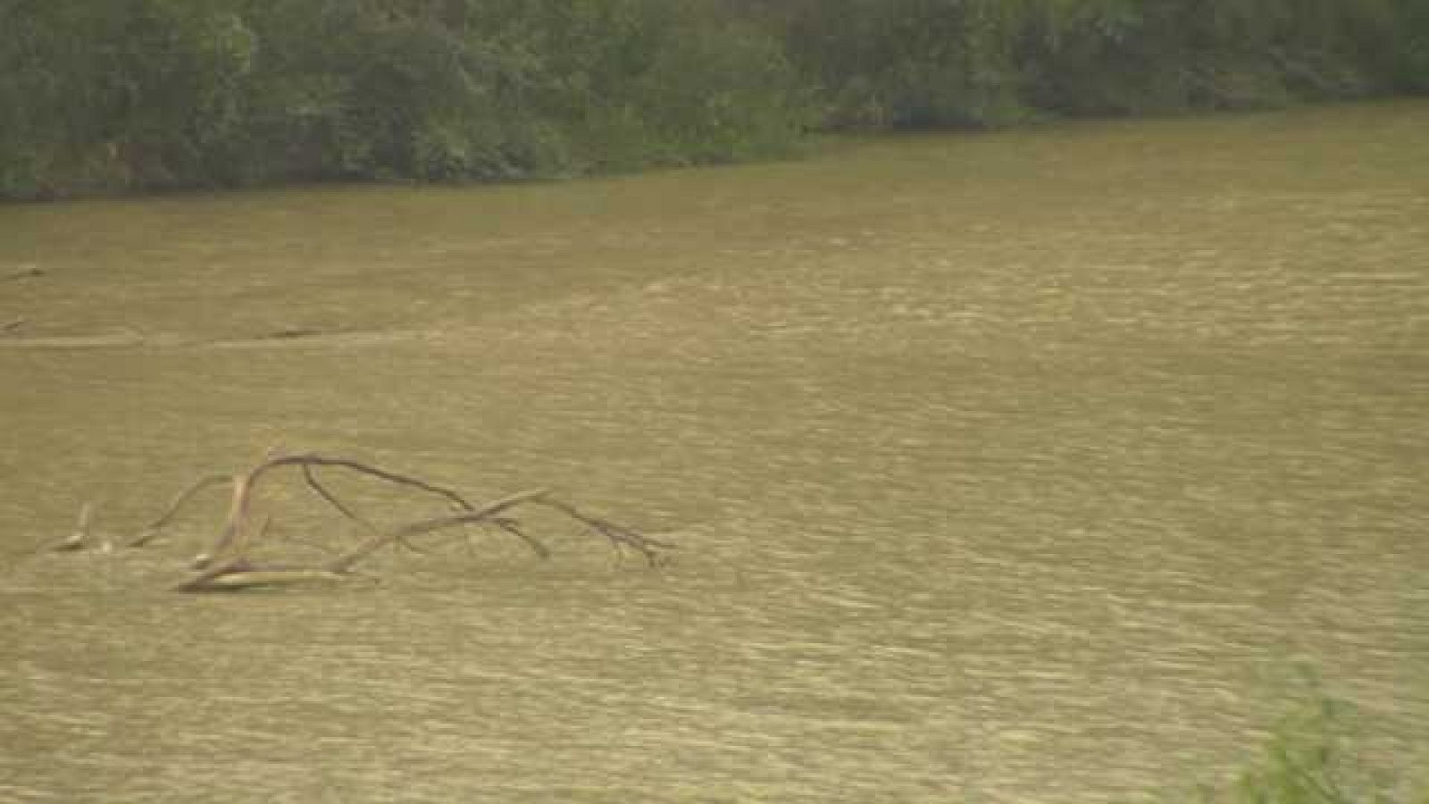 Arqueomanía - Munigua - ver ahora