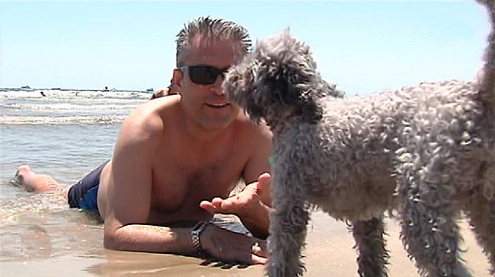 España Directo - España Directo - 17/07/18