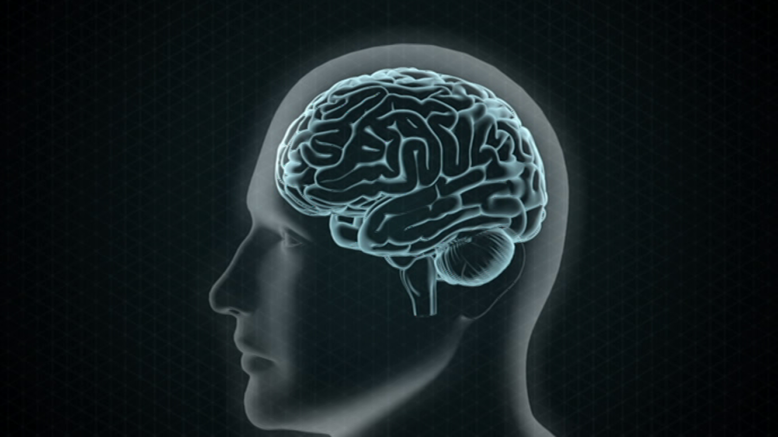 Otros documentales - La gente más extraordinaria del mundo: Un diseño para toda la vida - ver ahora