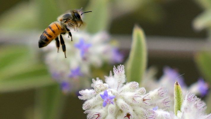 Informativo de Madrid - El Tiempo en la Comunidad de Madrid - 18/07/18