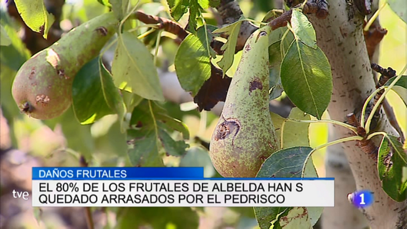 Telerioja en 2' - 18/07/18