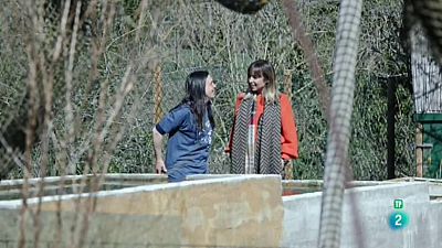 La meva mascota i jo - El Centre de Conservaci� de Fauna Salvatge i Educaci� Ambiental Camadoca