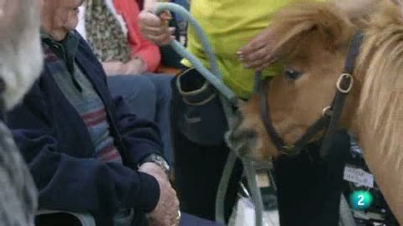 La meva mascota i jo - Ter�pia amb animals