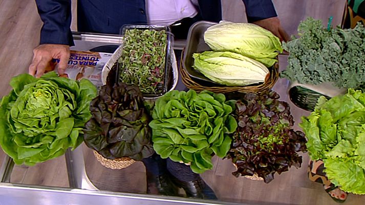 Saber vivir - Saber vivir - 20/07/18