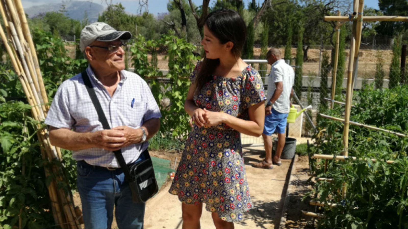 Benidorm, ciudad de huertos