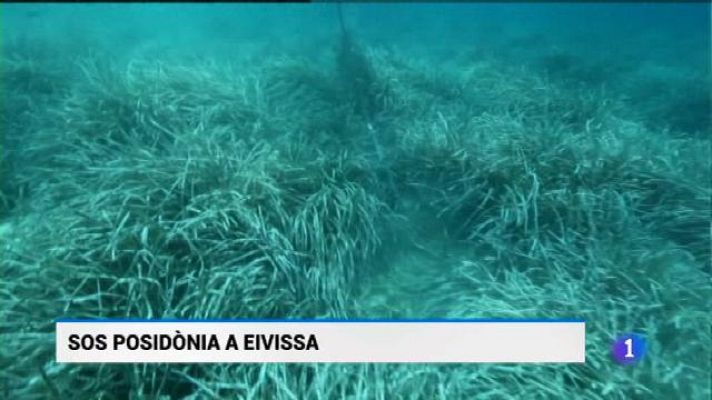 Informatiu Balear - Informatiu Balear en 2' - 20/07/18