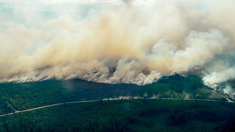 Unos 50 incendios siguen activos en Suecia debido a las altas temperaturas