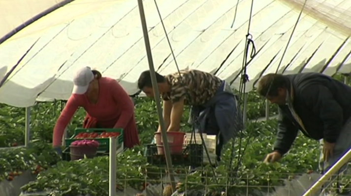 Agrosfera - Agrosfera - 21/07/18