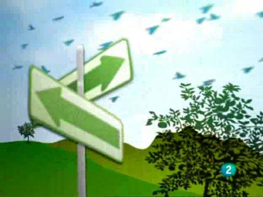 Actívate. El reto del bienestar - Actívate - El reto del bienestar - 03/04/09